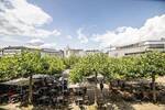 Gewerbeobjekt Kassel Mitte - 1.600&euro; | Angebot:26840908