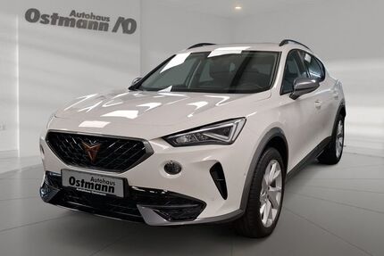 Cupra Formentor 17.800 km 30.411 &euro; Wolfhagen 34466