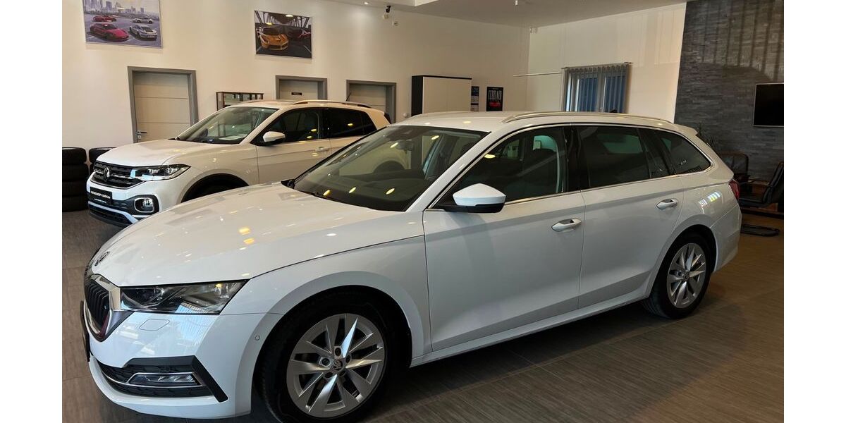 Skoda Octavia 162.393 km 16.985 &euro; Volkmarsen 34471