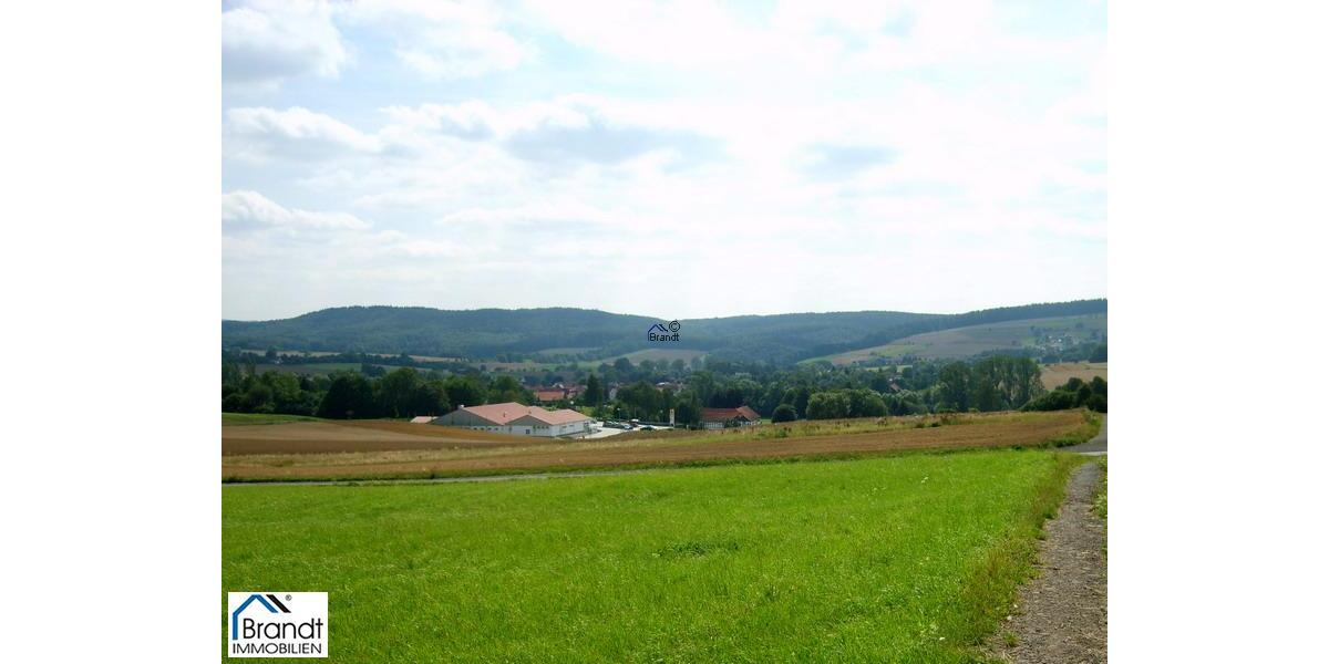 Der beste Standort für Ihren Erfolg! - Gewerbeobjekt Scheden | Angebot:7798267