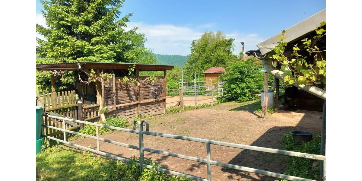 Mehrfamilienhaus, Wohnhaus Hann. Münden - 7 Zimmer, 170 m&sup2;, 299.000&euro; | Angebot:24625665