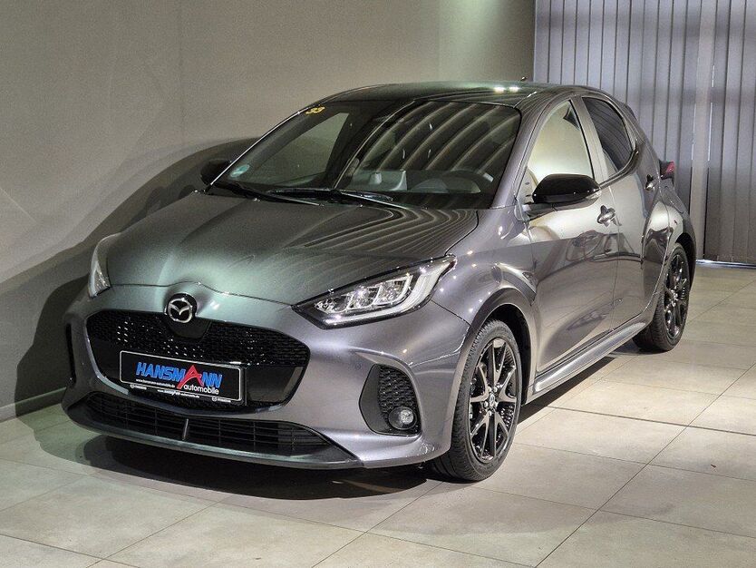 2 Hybrid
