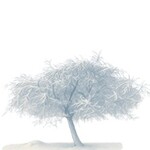 OK Concerts Weihnachtssingen