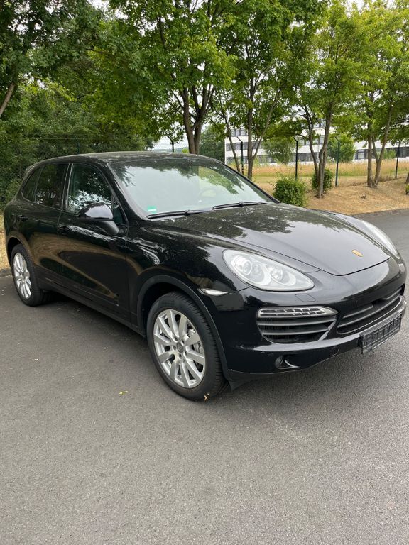 Cayenne