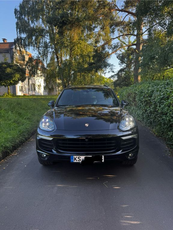 Cayenne
