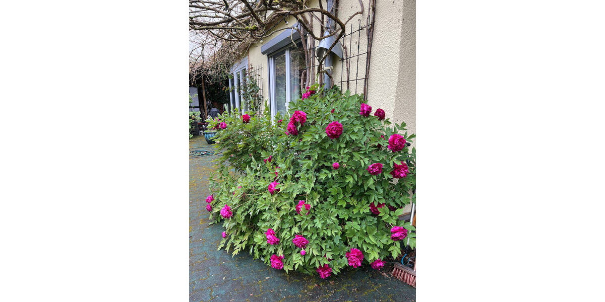 Einfamilienhaus Kassel Brasselsberg - 6 Zimmer, 179 m&sup2;, 449.000&euro; | Angebot:23881052