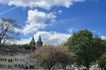 Etagenwohnung Kassel Wesertor - 2 Zimmer, 57 m&sup2;, 655&euro; | Angebot:26867530