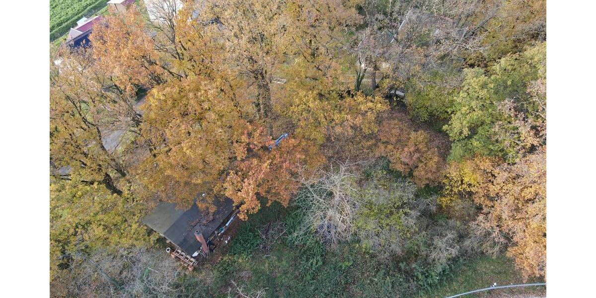 Grundstück Felsberg-Lohre Lohre - 65.000&euro; | Angebot:19312405