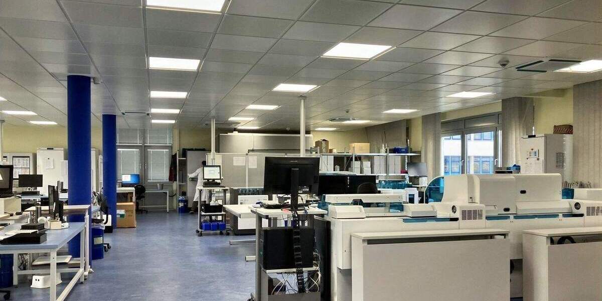 Große attraktive Büroetage im Gewerbegebiet Kassel-Waldau zimmer