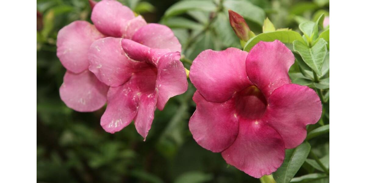 Einfamilienhaus Hann. Münden - 3 Zimmer, 80 m&sup2;, 220&euro; | Angebot:24417106