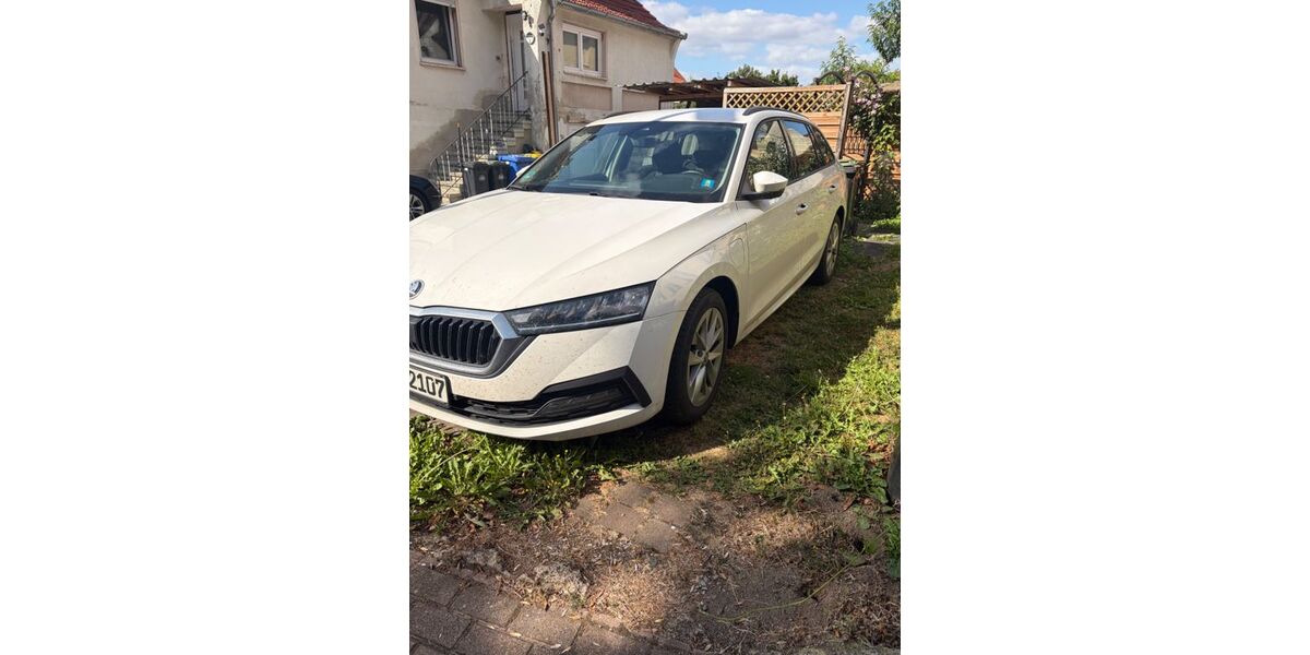 Skoda Octavia 51.000 km 21.500 &euro; Felsberg 34587