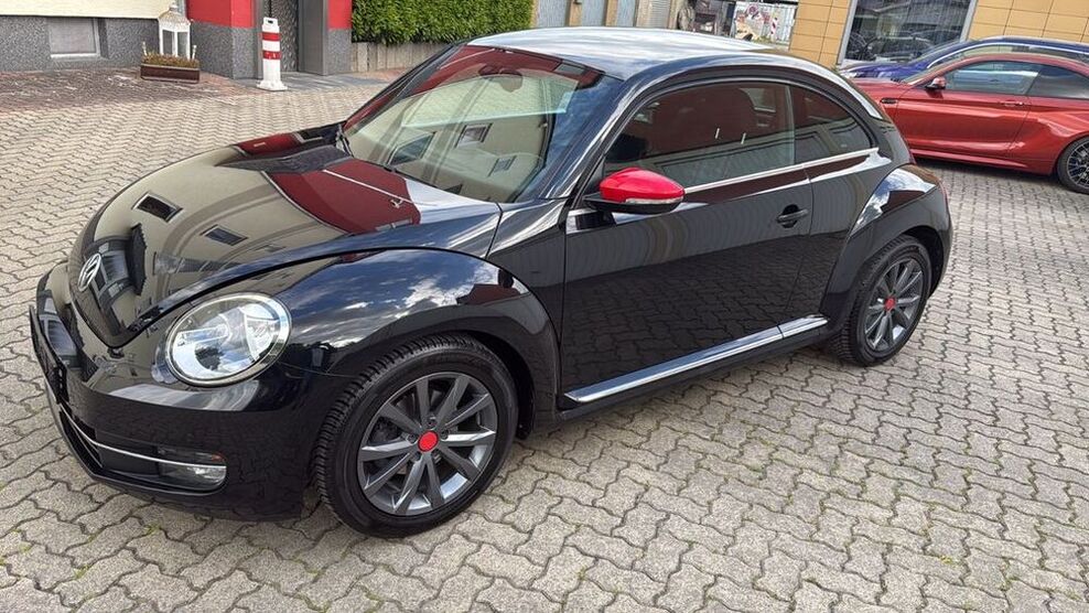 Beetle