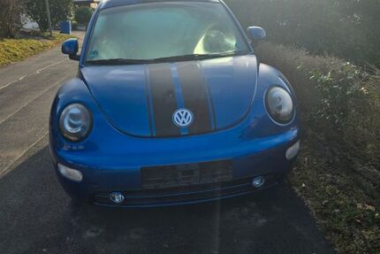 VW Beetle