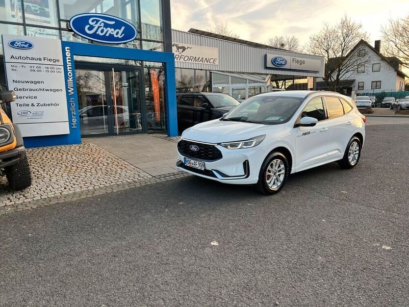 Kuga
