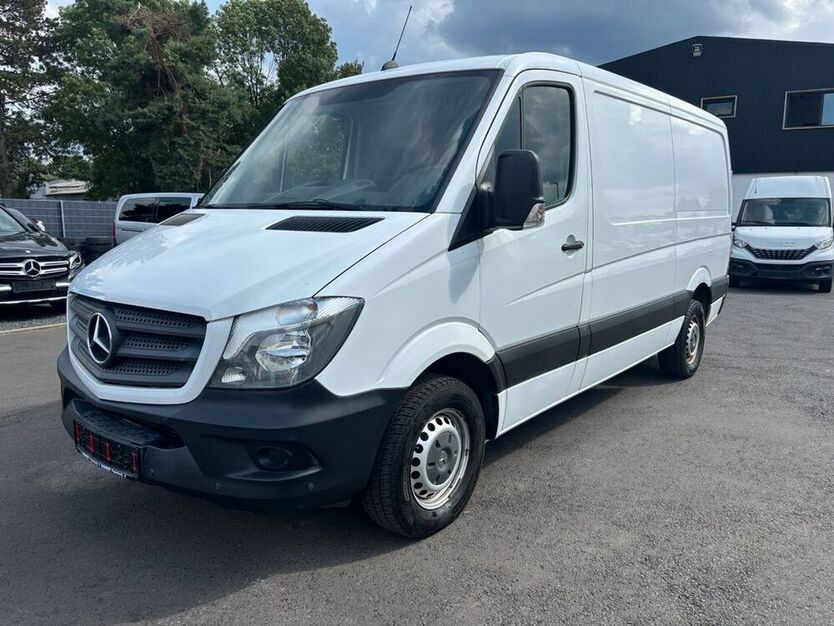 Sprinter