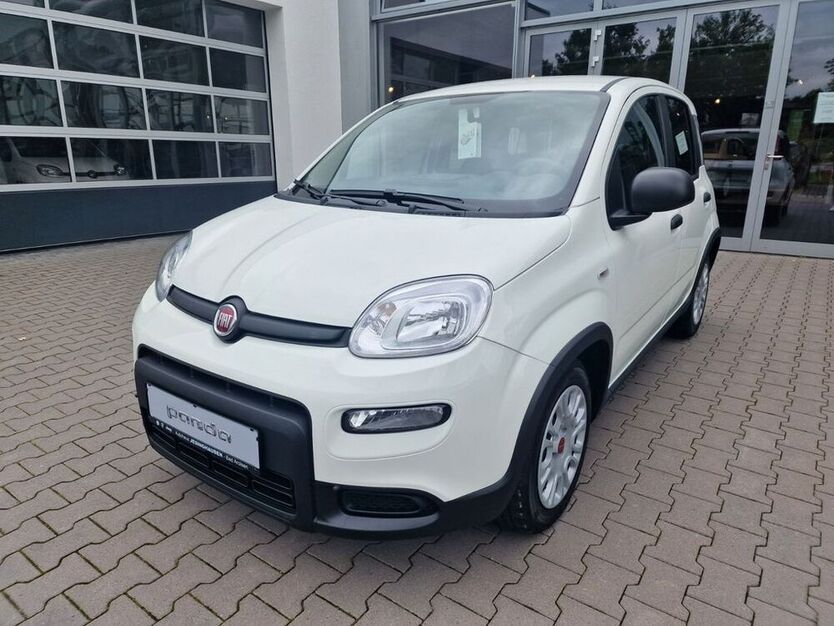 Panda
