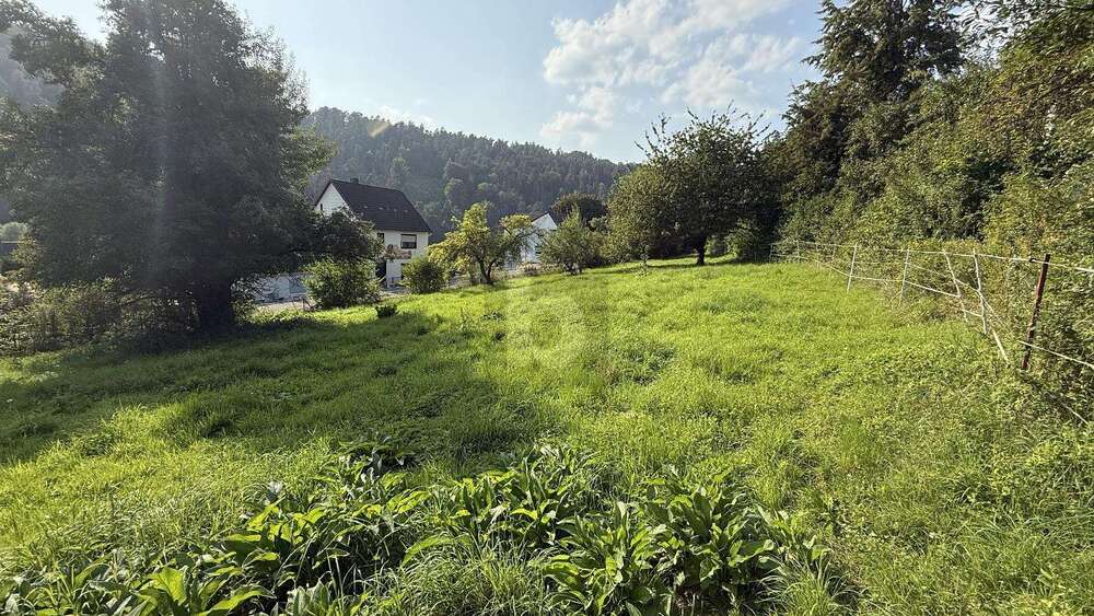 Grundstück Staufenberg - 100.000&euro; | Angebot:25202952