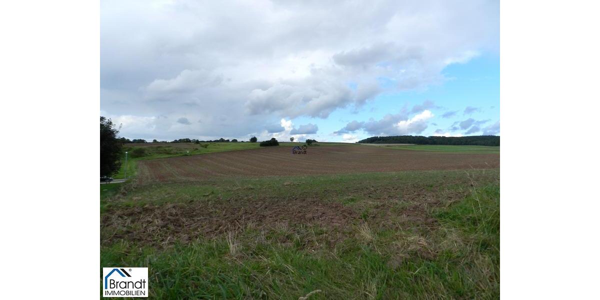 Der beste Standort für Ihren Erfolg! - Gewerbeobjekt Scheden | Angebot:7798267