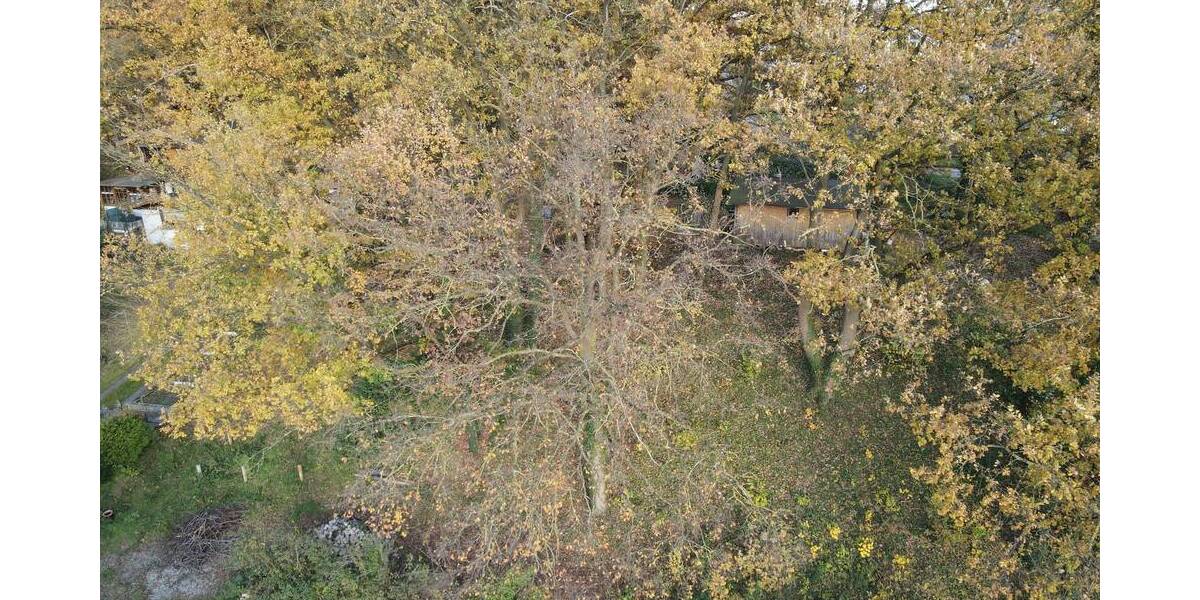 Grundstück Felsberg-Lohre Lohre - 65.000&euro; | Angebot:25738665