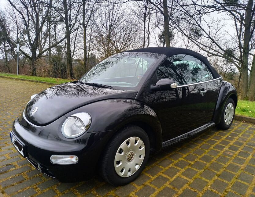 Beetle