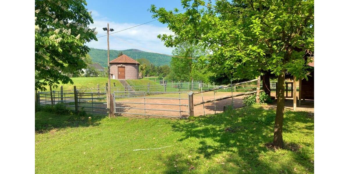 Mehrfamilienhaus, Wohnhaus Hann. Münden - 7 Zimmer, 170 m&sup2;, 299.000&euro; | Angebot:24625665