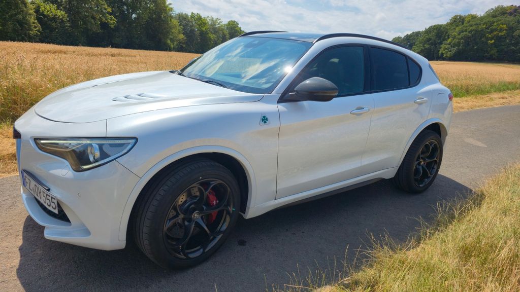 Alfa Romeo Stelvio 125.500 km 29.990 &euro; Gudensberg 34281