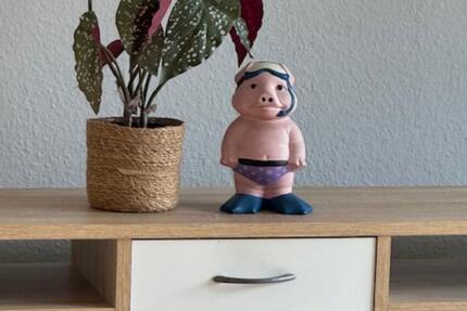 3 Zimmerwohnung 3 zimmer