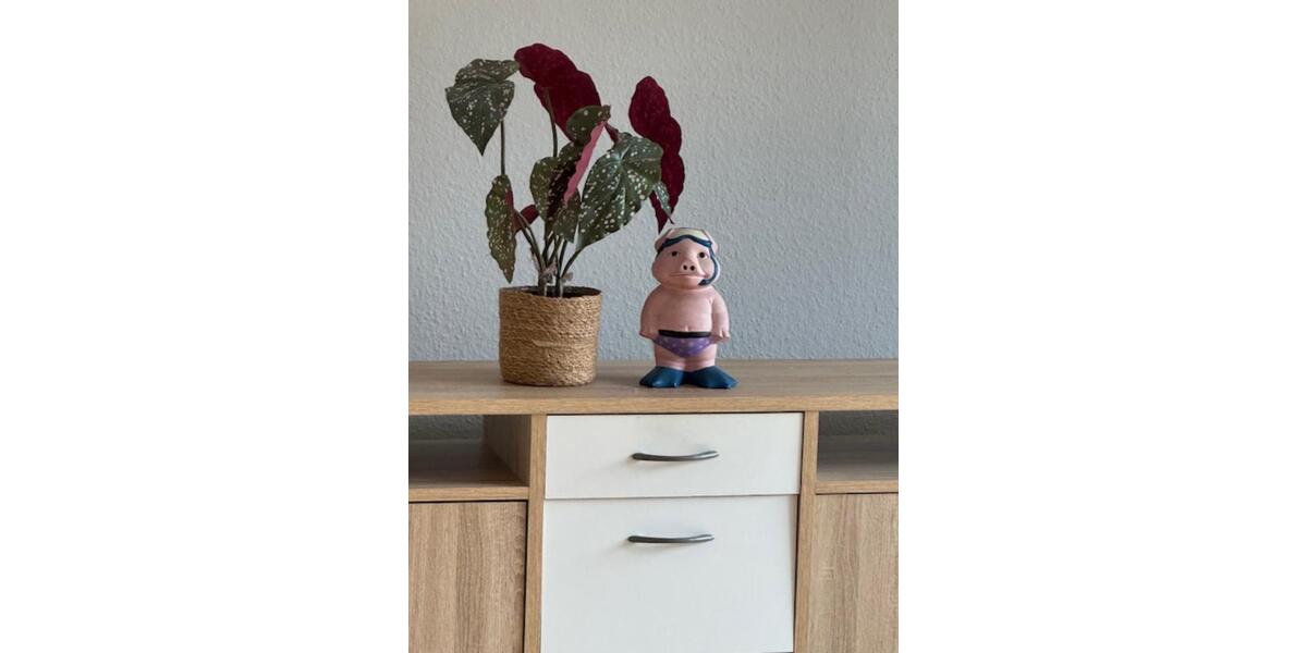 3 Zimmerwohnung 3 zimmer