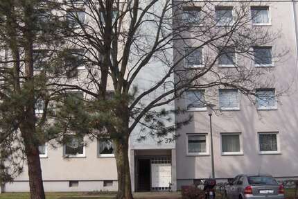 Wohnung Kassel Waldau - 1 Zimmer, 29 m&sup2;, 354&euro; | Angebot:25519628