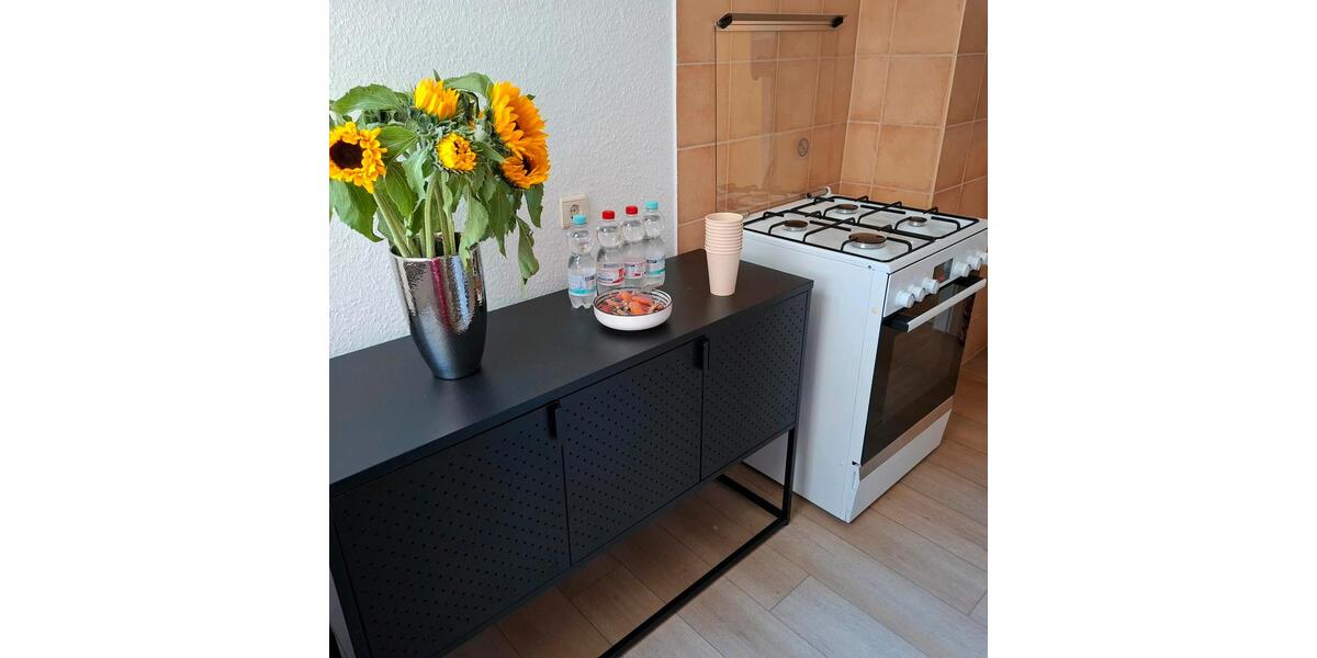 Wohnung ab 1.5.2026 in Südstadt frei! 2 zimmer