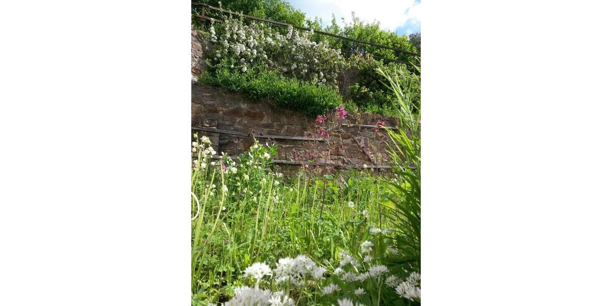 Einfamilienhaus Kassel Fasanenhof - 6 Zimmer, 128 m&sup2;, 275.000&euro; | Angebot:25402342