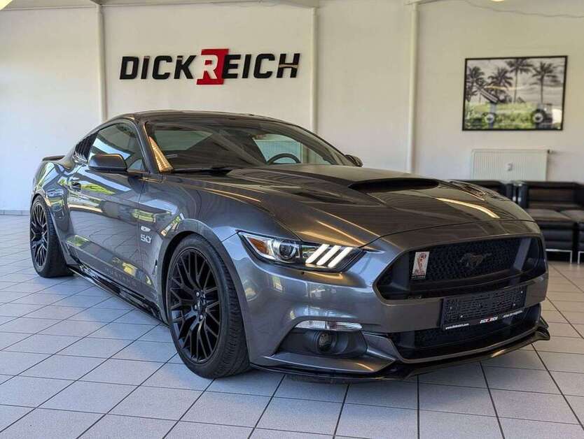 Mustang