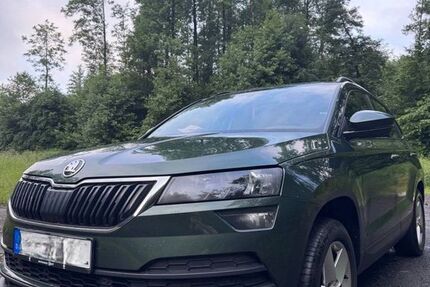 Skoda Karoq 250.000 km 16.500 &euro; Kassel 34132