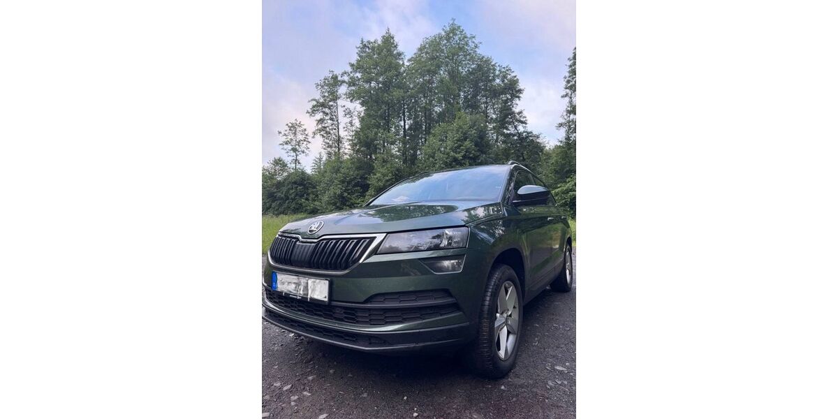 Skoda Karoq 250.000 km 16.500 &euro; Kassel 34132