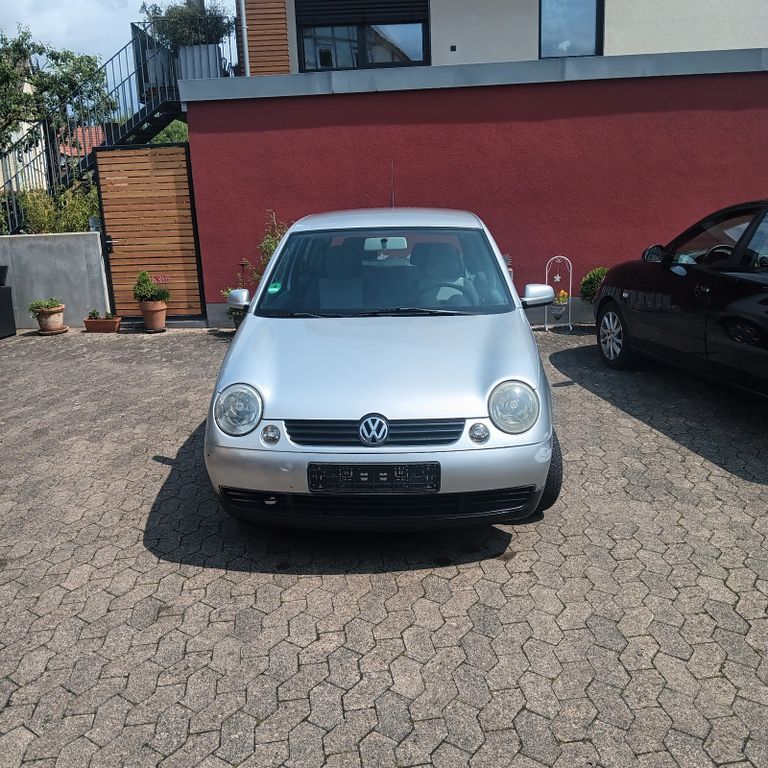 Lupo
