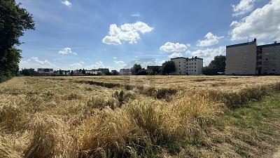 ATTRAKTIV MIT VIELFÄLTIGEN BEBAUUNGSMÖGLICHKEITEN - Grundstück Wabern | Angebot:27294128