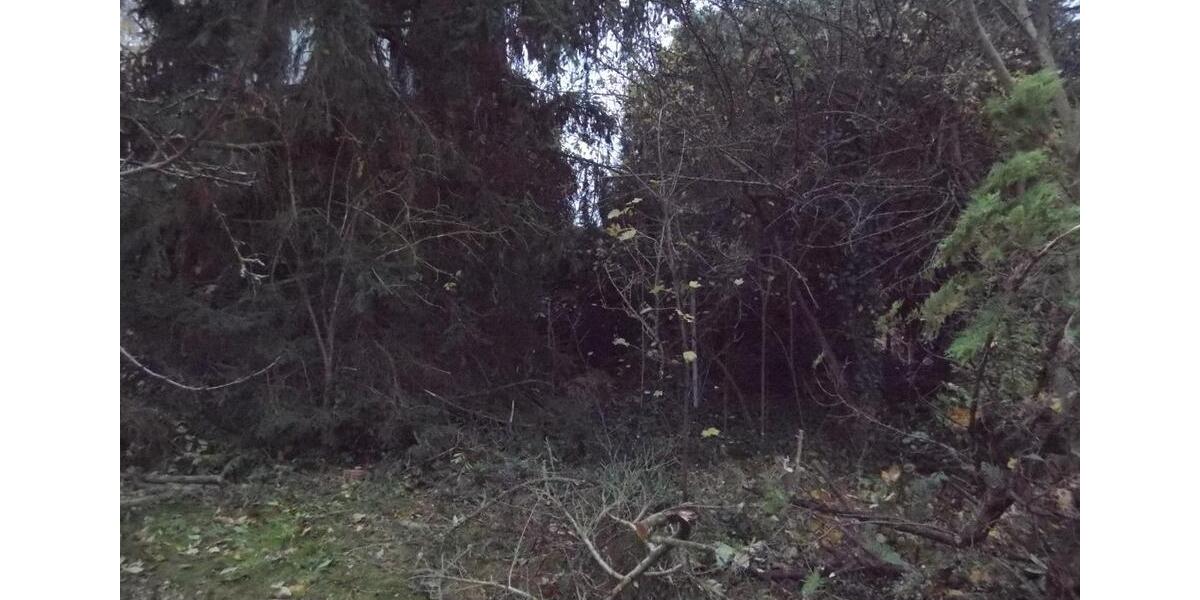 Einfamilienhaus Kaufungen - 6 Zimmer, 120 m&sup2;, 225.000&euro; | Angebot:26963649