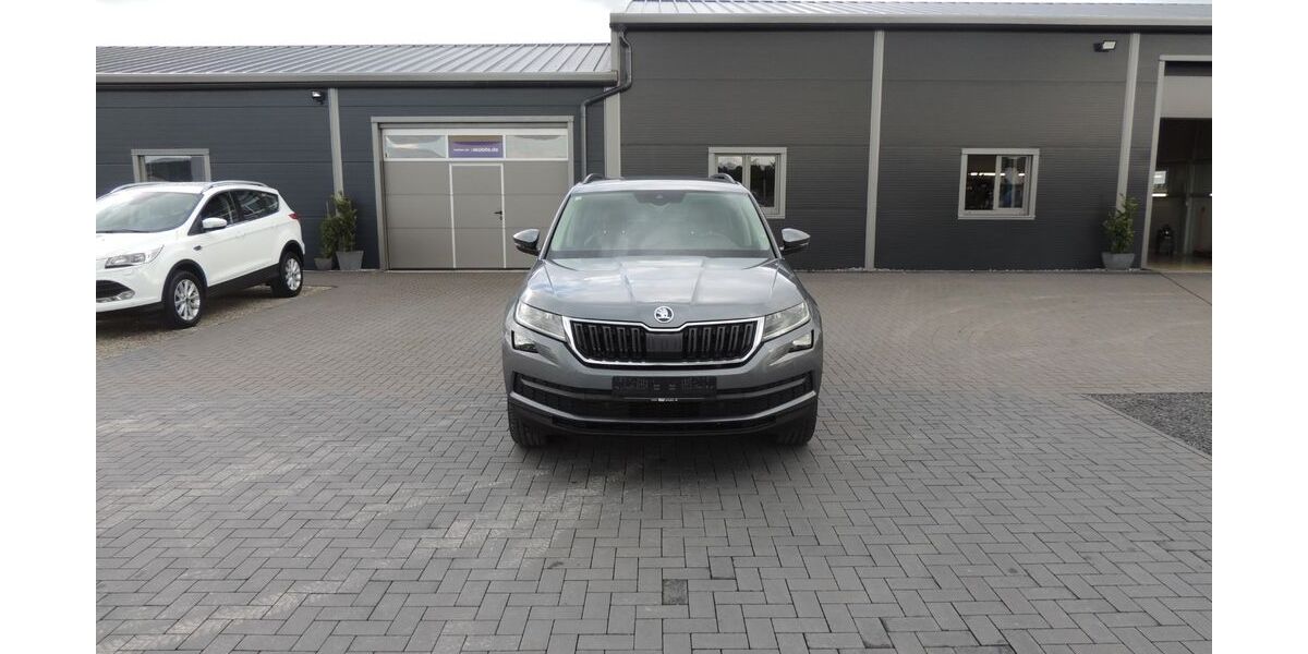 Skoda Kodiaq 124.417 km 21.900 &euro; Hofgeismar 34369