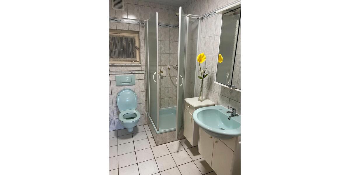 Einfamilienhaus Hofgeismar - 6 Zimmer, 240 m&sup2;, 1.500&euro; | Angebot:23330315