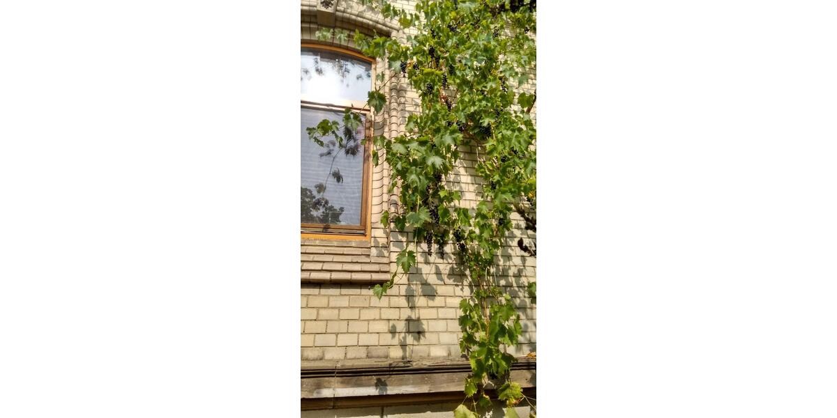 Dachgeschoßwohnung Kassel Fasanenhof - 1 Zimmer, 20 m&sup2;, 300&euro; | Angebot:26227377