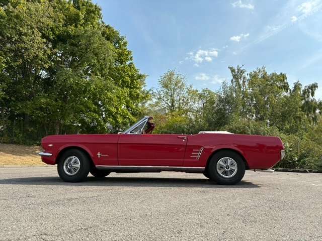 Mustang