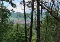 Haus Wochenendhaus in absoluter allein Lage mitten im Wald
