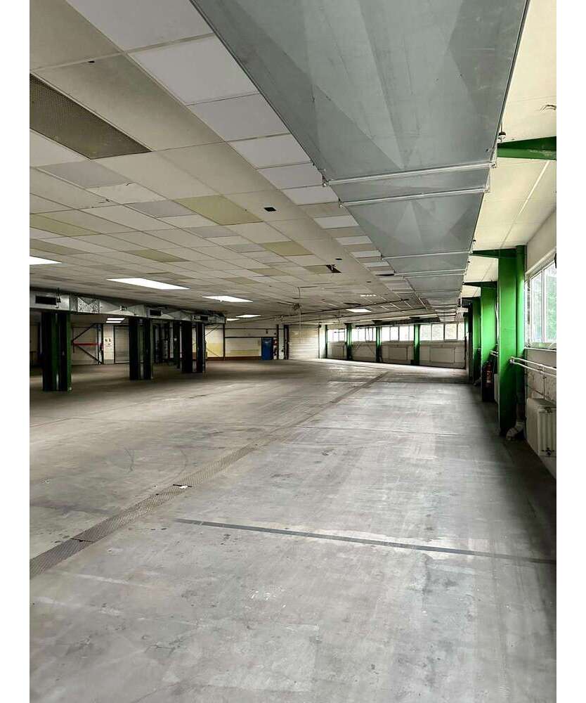 Halle in Hessisch Lichtenau 2.700.000 € 4951.9 m²