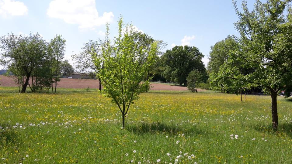 Bauernhaus, Landhaus Felsberg - 9 Zimmer, 300 m&sup2;, 490.000&euro; | Angebot:25225011