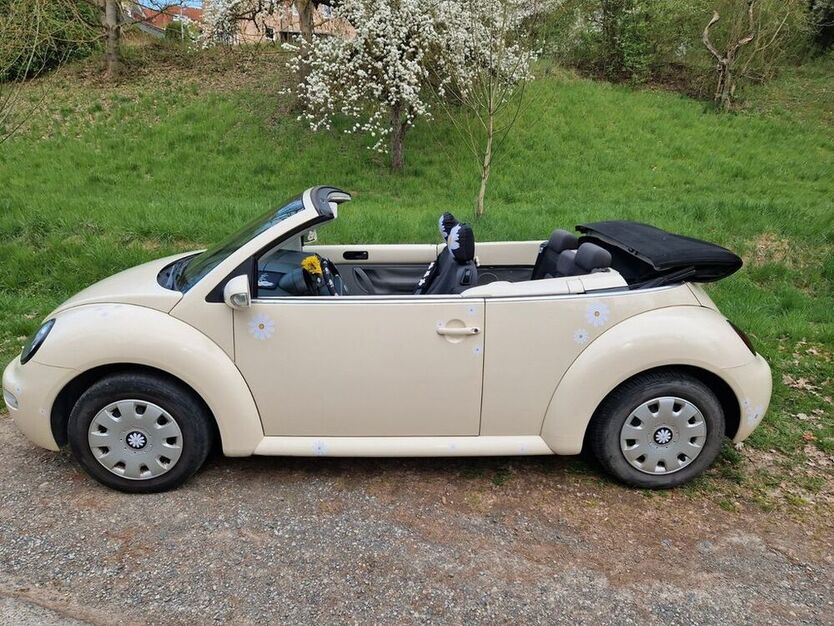 Beetle