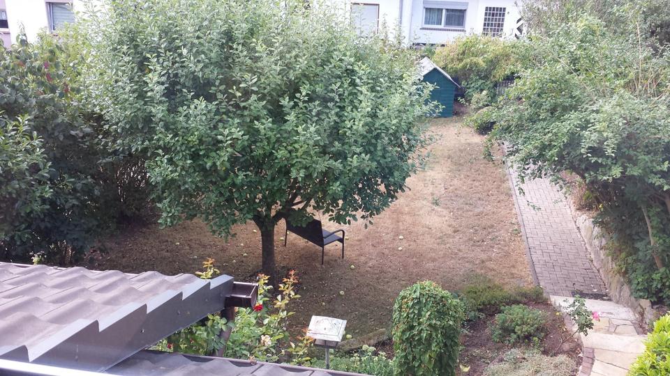 Helle 2,5 ZKB Wohnung mit EBK zum 01.03.01.04.26 zu vermieten 2.5 zimmer