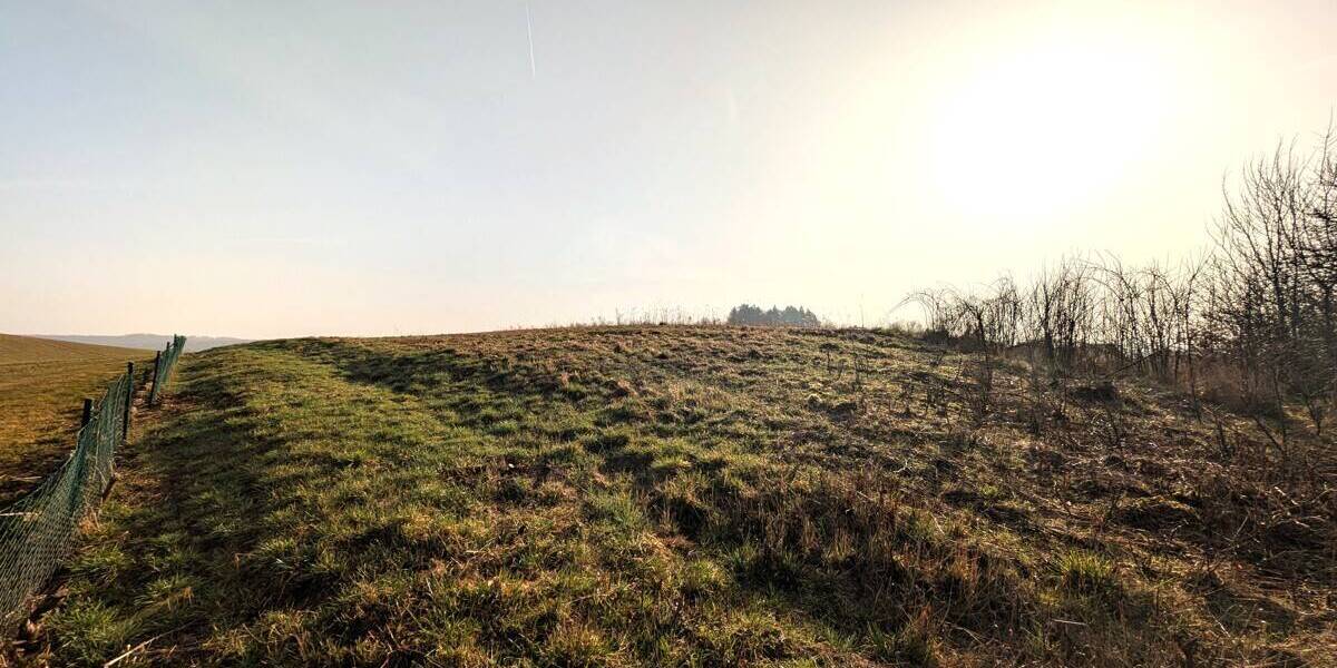 Grundstück Calden Obermeiser - 99.000&euro; | Angebot:25996249