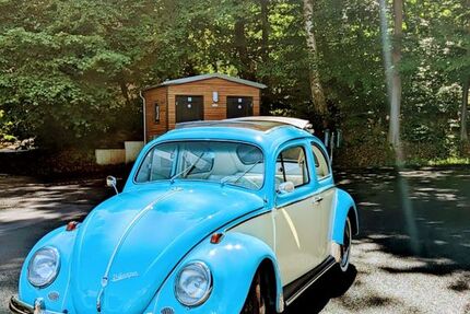 VW Käfer 34.128 km 22.000 &euro; Kassel 34128