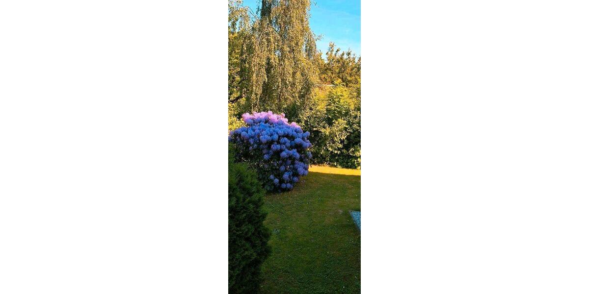 Einfamilienhaus Kassel Nordshausen - 7 Zimmer, 179 m&sup2;, 498.000&euro; | Angebot:26869351