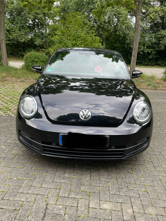 Beetle
